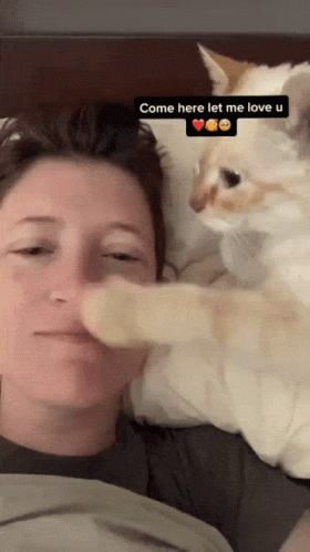 Come Here Cat Snuggle Cuddle GIF