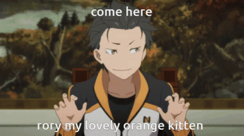 Come Here Rory My Lovely Orange Kitten