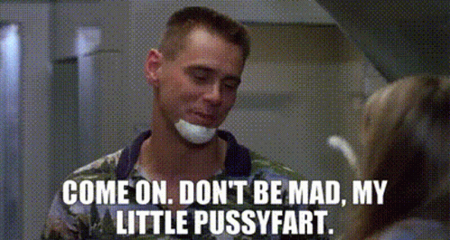 Come On Dont Be Mad Me Myself And Irene GIF