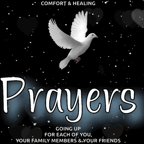 Comfort And Healing Pray GIF