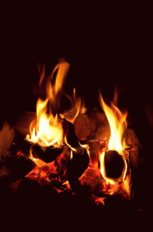 Comforting Dancing Cozy Campfire GIF