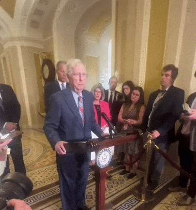 Comforting Mitch Mcconnell Turtle GIF