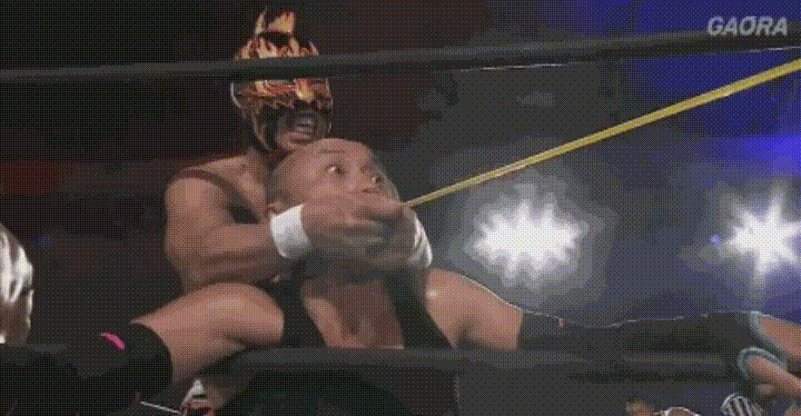 Comical Pro Wrestling Stunts GIF