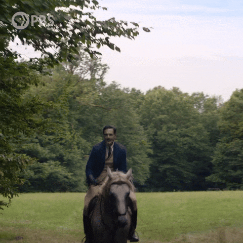 Coming In Hot Daniele Pecci Horseback Riding GIF