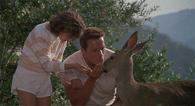 Commando Arnold Schwarzenegger Petting Deer GIF