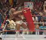 Communism Communist Flag Wrestling GIF
