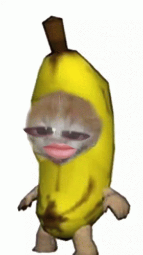 Complaining Banana Cat Meme GIF