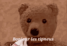 Computer Generated Bear Bonjour GIF