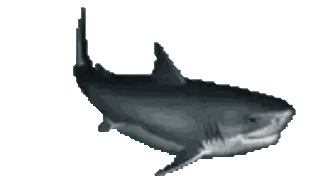 Computer Generated Shark Image