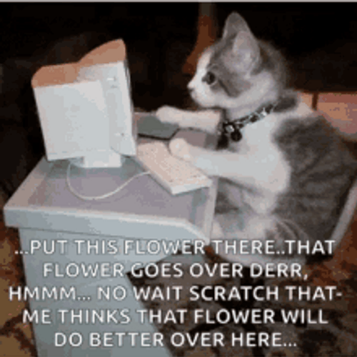 Computer Poem Typing Cat GIF