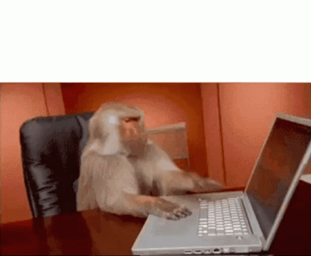 Computer Rage Monkey Typing GIF