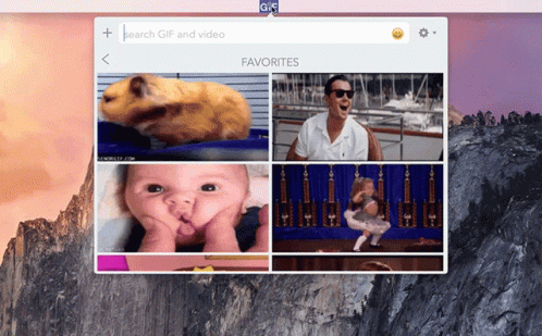 Computer Screen Search for Gifs and Videos