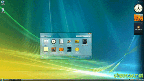 Computer Screen With Skeuoss.net Header