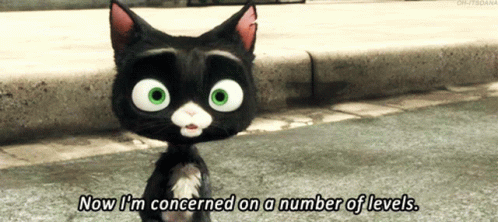 Concerned Bolt Disney Movie Mittens Black Cat GIF