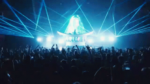 Concert Performing Live GIF