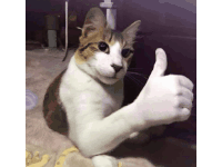 Concholike2008 Sticker GIF