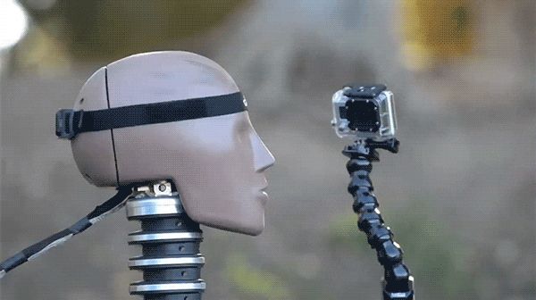 Concussion Study Force GIF