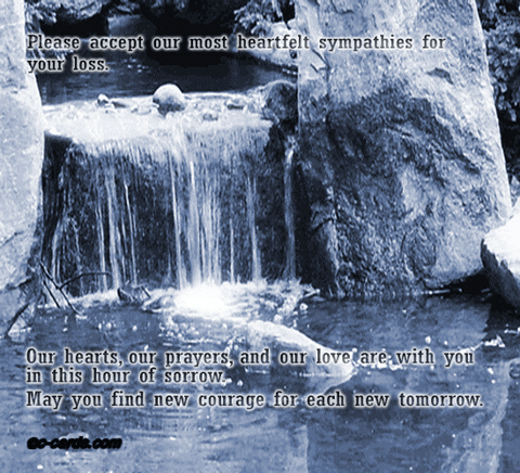 Condolence Heartfelt Sympathy Falls Winter GIF