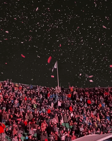 Confetti Falling From Sky GIF