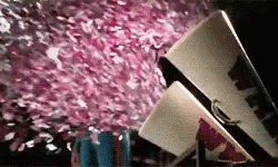 Confetti Shower Cannon GIF