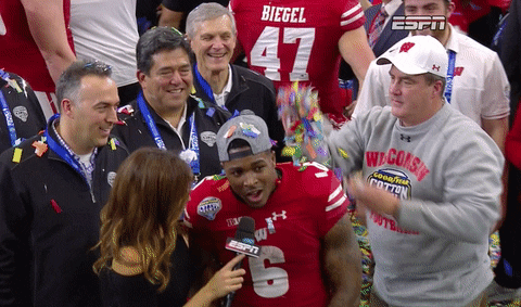 Confetti Wisconsin Badgers Celebration GIF