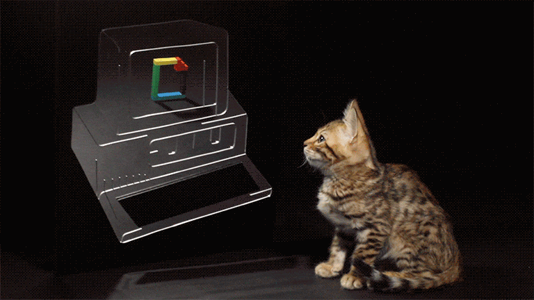 Confused Cat Seeing His Reflection GIF