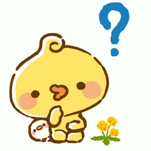 Confused Chick What I Do GIF