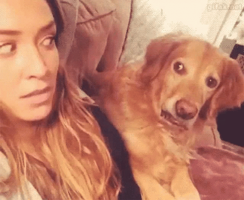 Confused Dog Looking At The Woman GIF