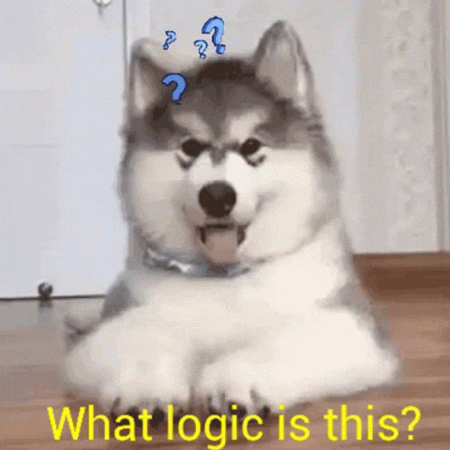 Confused Dog What Logic Is This GIF