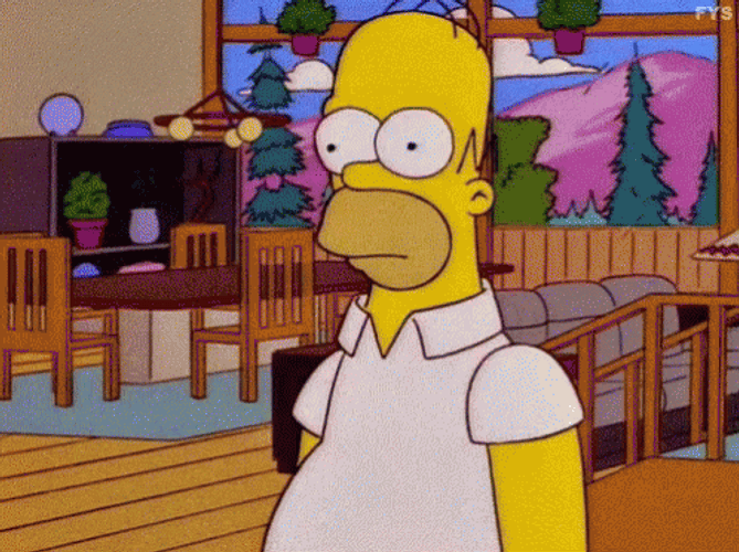 Confused Homer Simpson GIF