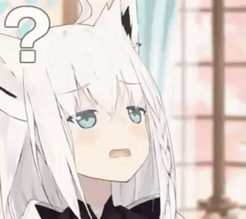 Confused Meme Of Anime Cat Girl Shirakami Fubuki GIF