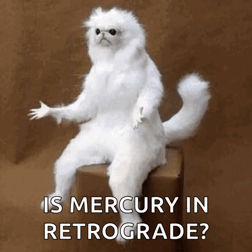 Confused Monkey Asking Is Mercury In Retrograde GIF