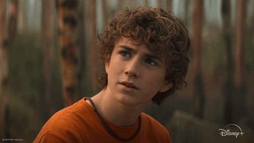 Confused Percy Jackson What GIF