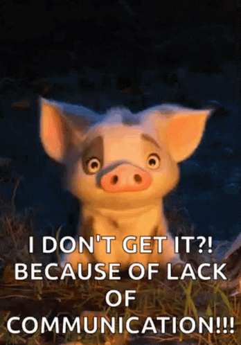 Confused Pig Lack Communication GIF