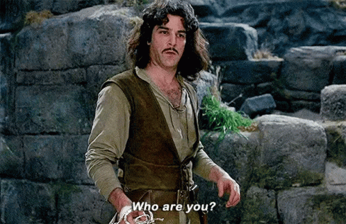 Confused Who Are You Princess Bride GIF