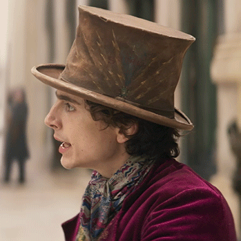 Confused Wonka Timothée Chalamet GIF