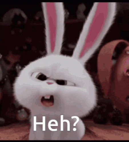 Snowball White Rabbit Confusion Look GIF