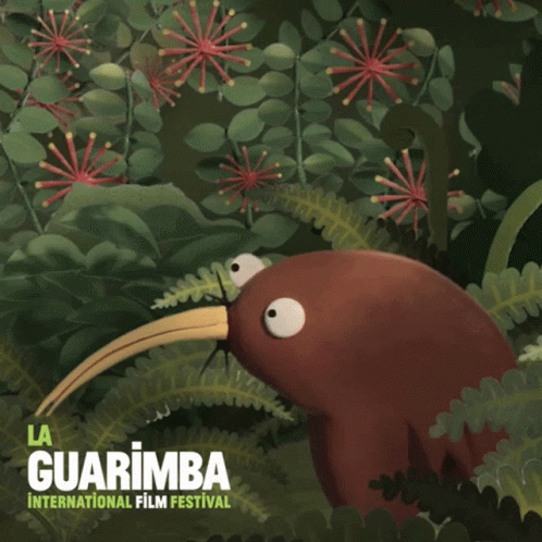 Confusion Kiwi Animal GIF