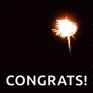 Congrats Fireworks Meme GIF