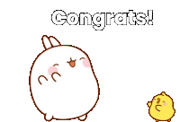 Congrats Molang Sticker GIF
