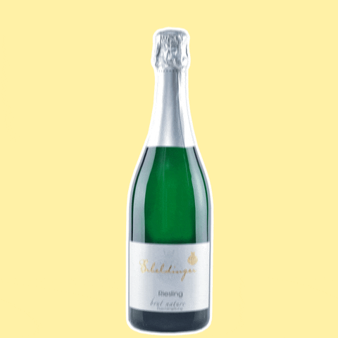 Congratulation Champagne Party Cheers GIF