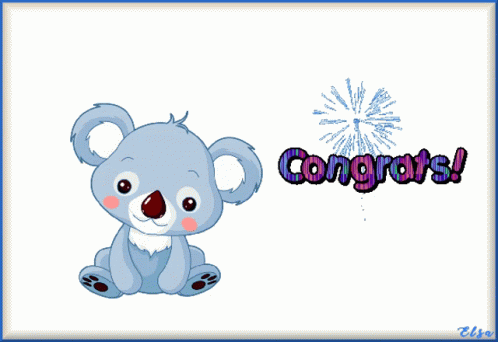 Animated Congratulations Cartoon Koala Bear GIF