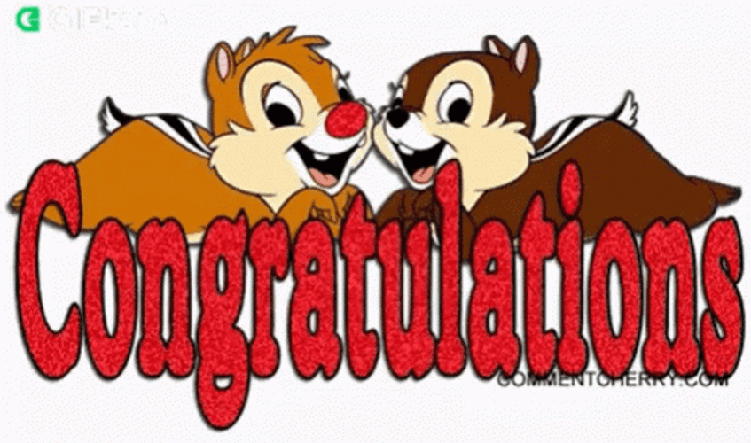 Congratulations Animated Chip N Dale GIF
