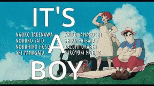 Congratulations Baby Boy Ghibli Animation GIF