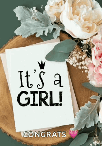 Congratulations Baby Girl Announcement GIF