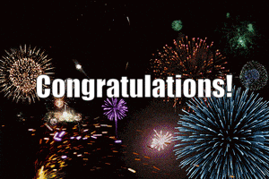 Congratulations Firework Display GIF