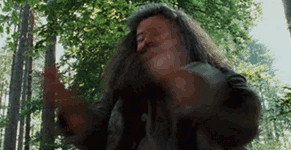 Congratulations Funny Hagrid Applauding GIF