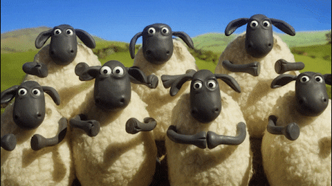 Congratulations Funny Shaun The Sheep Cheering GIF