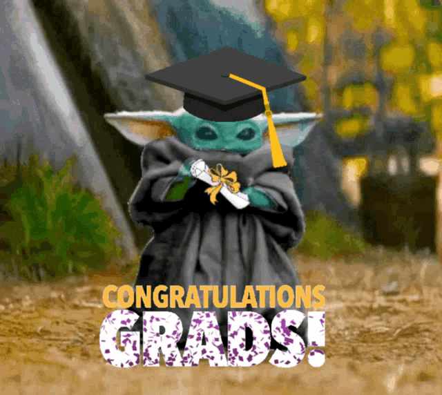 Congratulations Graduate Star Wars Master Yoda GIF