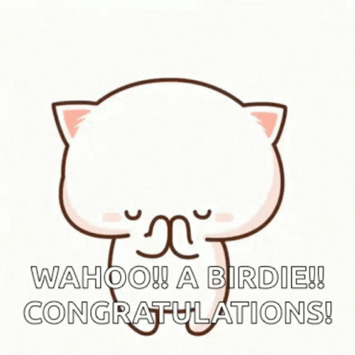 Congratulations Lovable Cat GIF